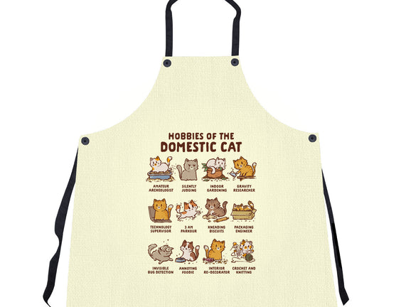 Cat Hobbies