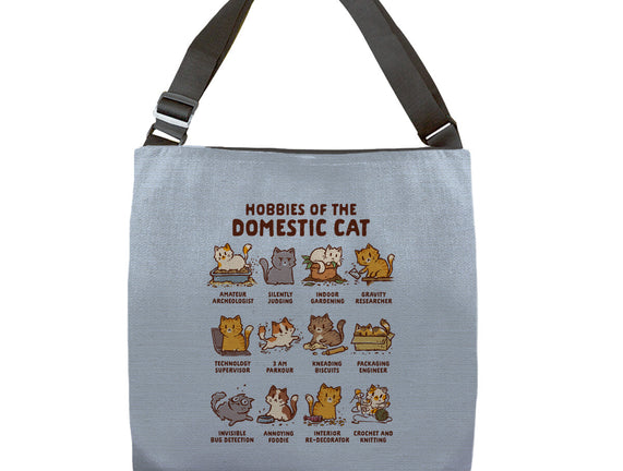 Cat Hobbies