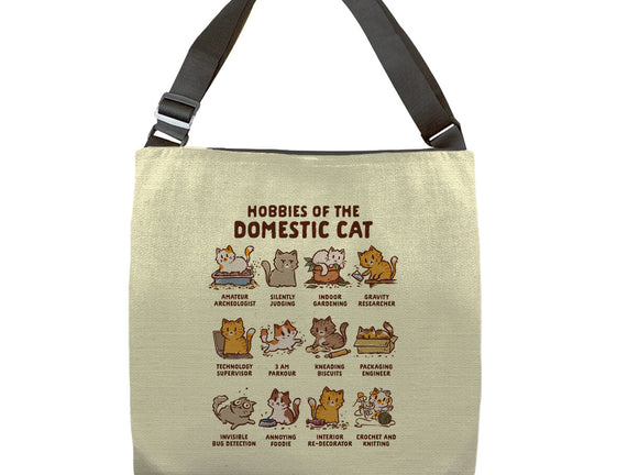 Cat Hobbies