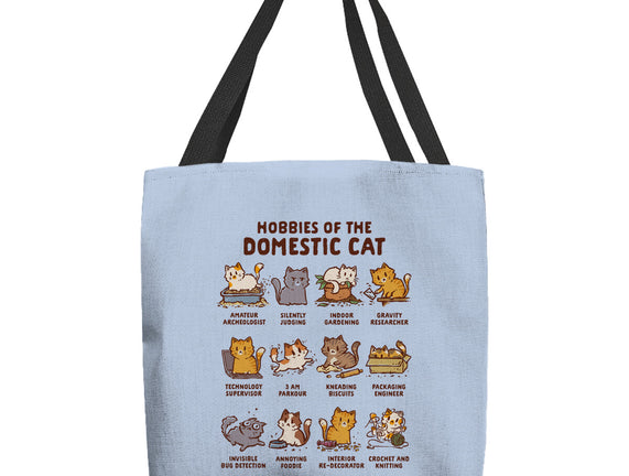 Cat Hobbies