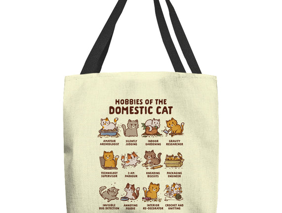 Cat Hobbies