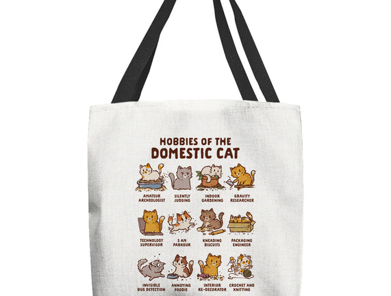 Cat Hobbies