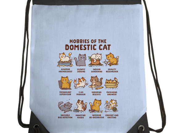 Cat Hobbies