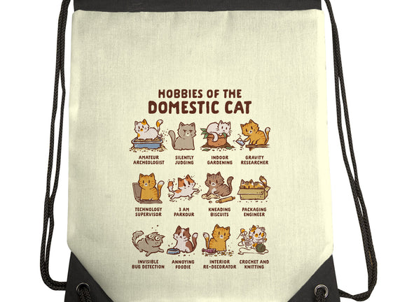 Cat Hobbies