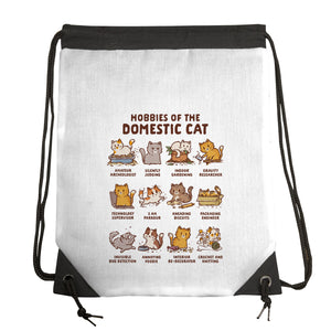 Cat Hobbies