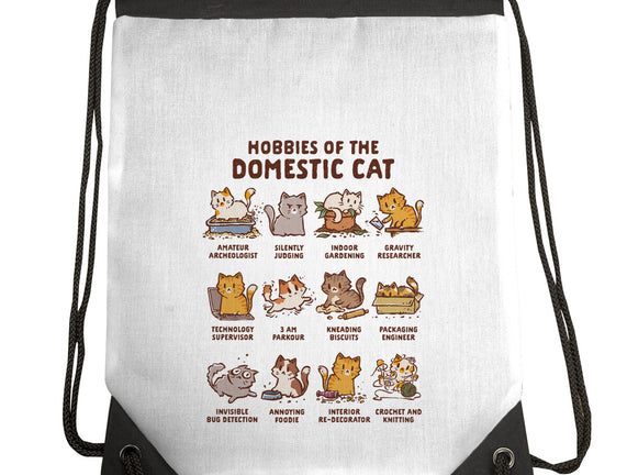 Cat Hobbies