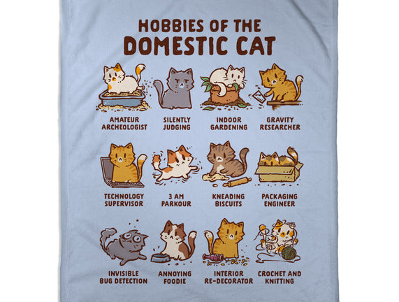 Cat Hobbies