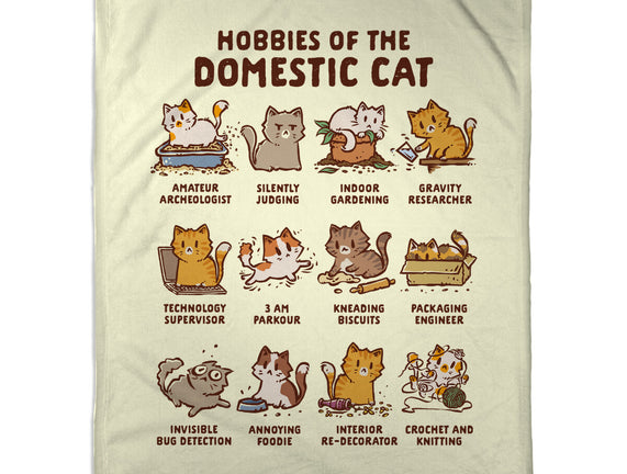 Cat Hobbies