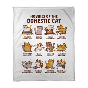 Cat Hobbies