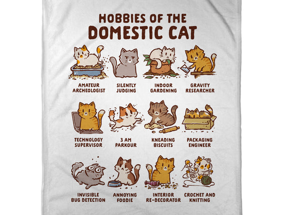 Cat Hobbies