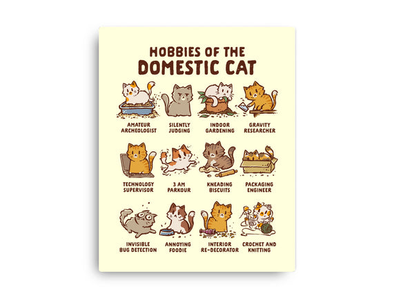Cat Hobbies