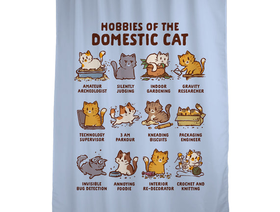 Cat Hobbies