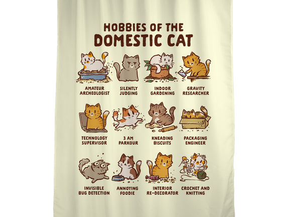 Cat Hobbies