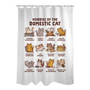 Cat Hobbies