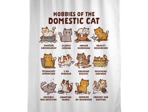 Cat Hobbies