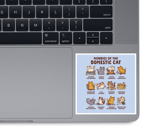 Cat Hobbies
