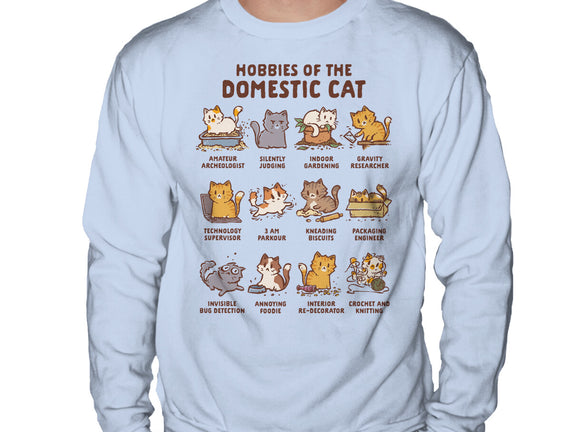 Cat Hobbies
