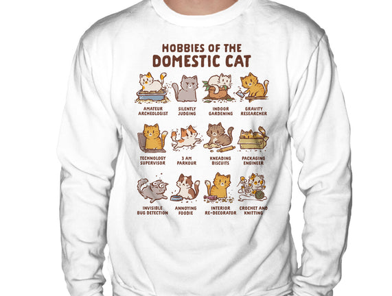 Cat Hobbies