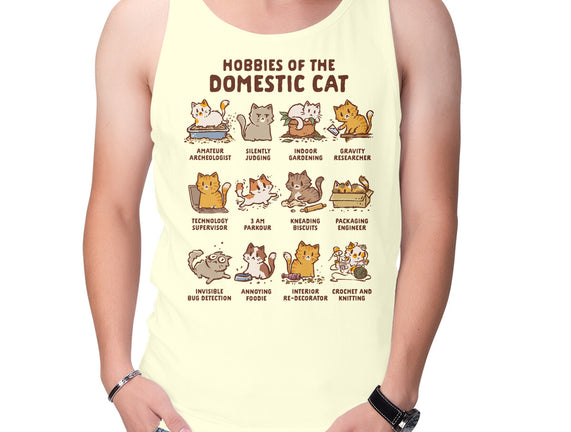 Cat Hobbies