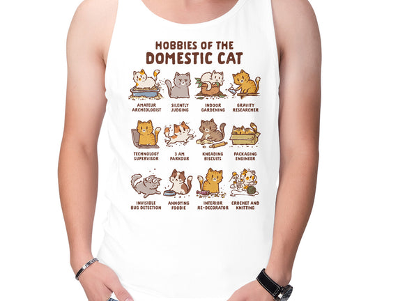 Cat Hobbies