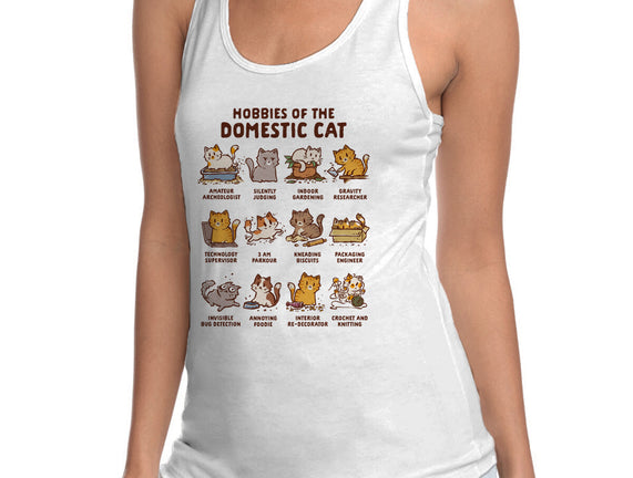 Cat Hobbies