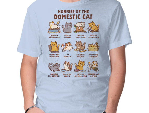 Cat Hobbies