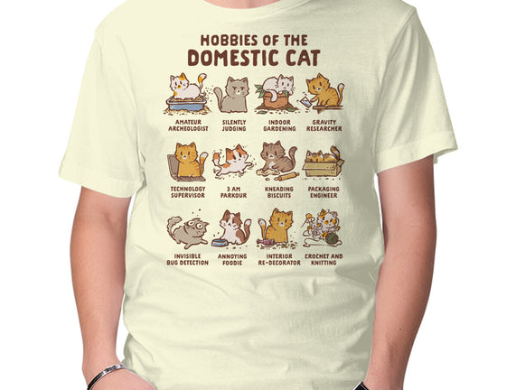 Cat Hobbies