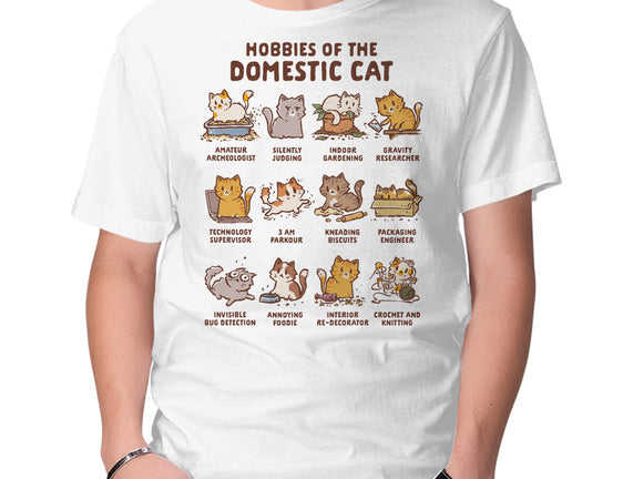 Cat Hobbies
