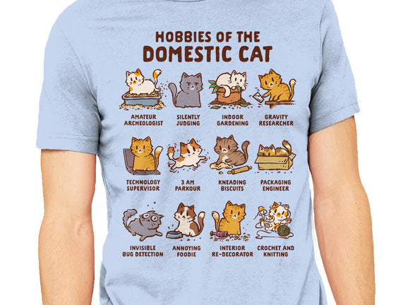 Cat Hobbies