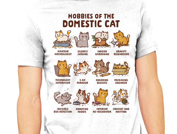 Cat Hobbies