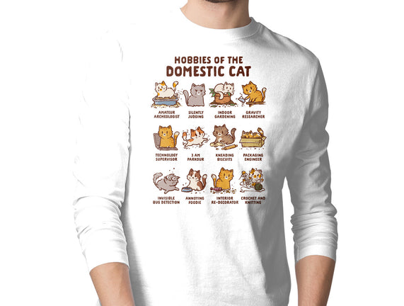 Cat Hobbies