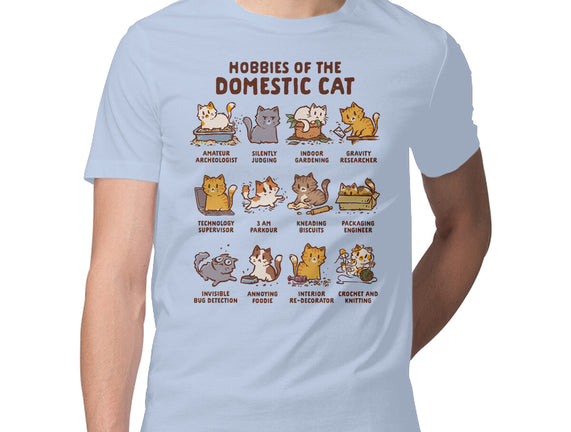 Cat Hobbies