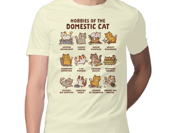 Cat Hobbies
