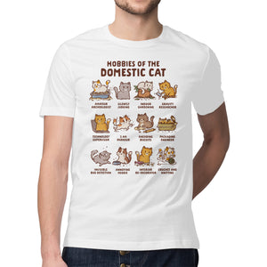Cat Hobbies