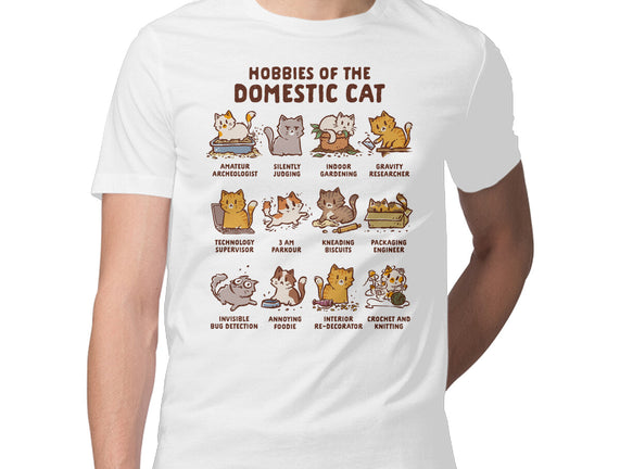 Cat Hobbies