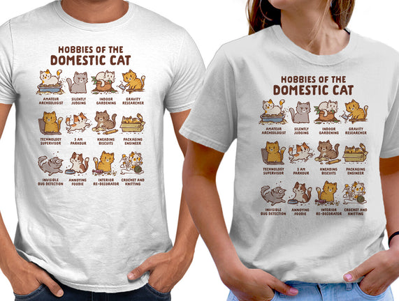 Cat Hobbies
