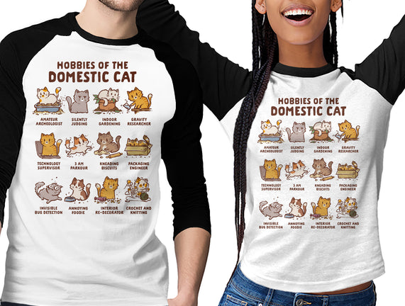 Cat Hobbies