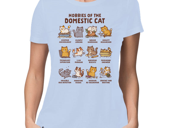 Cat Hobbies