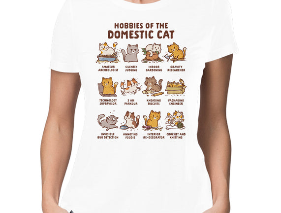 Cat Hobbies