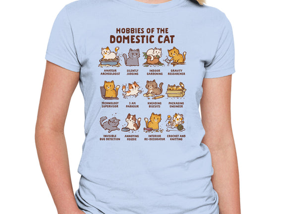 Cat Hobbies