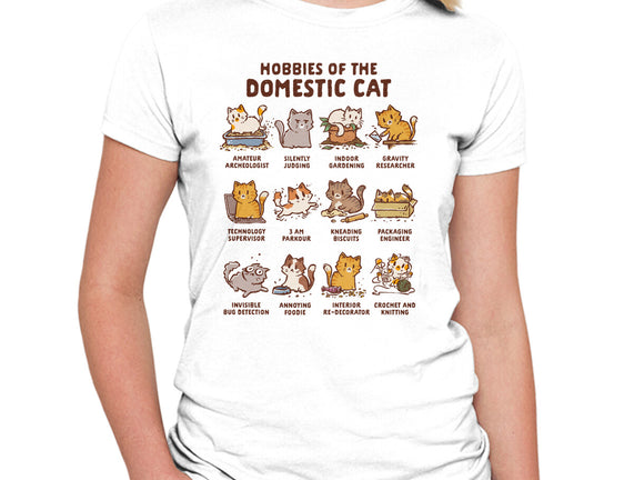 Cat Hobbies