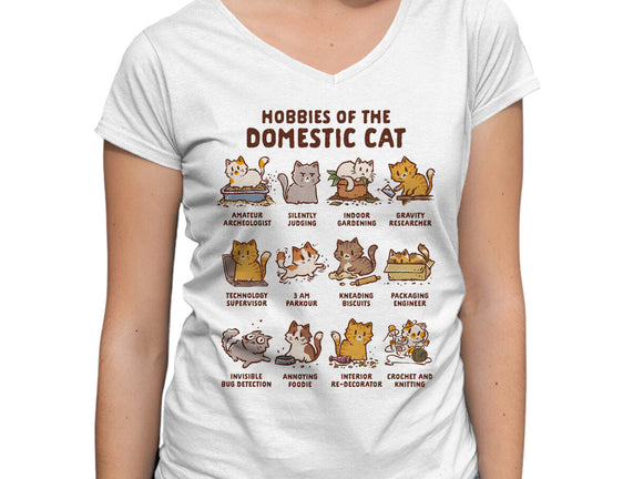 Cat Hobbies