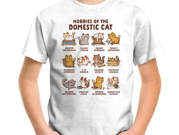 Cat Hobbies