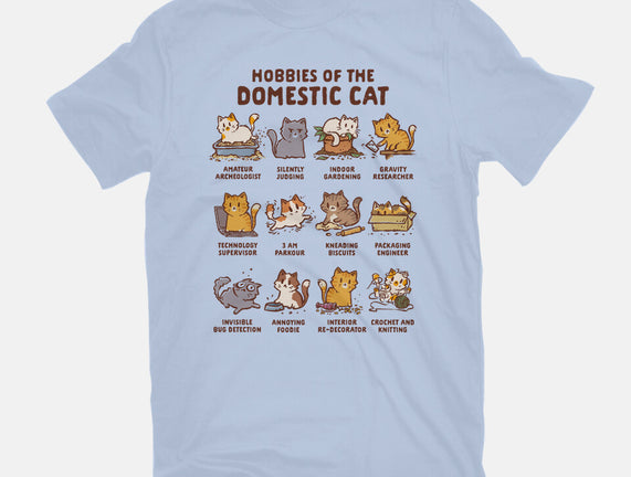 Cat Hobbies