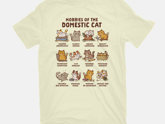 Cat Hobbies