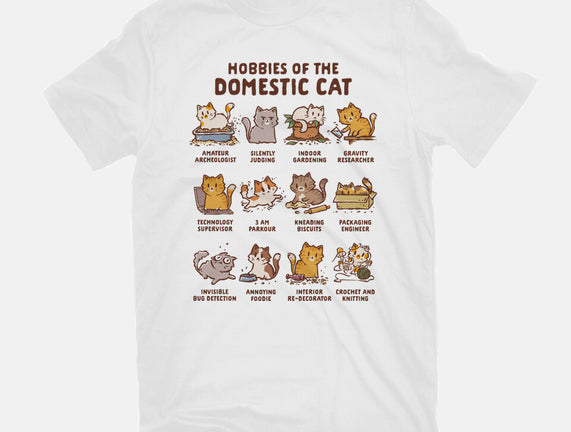 Cat Hobbies