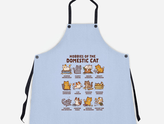 Cat Hobbies