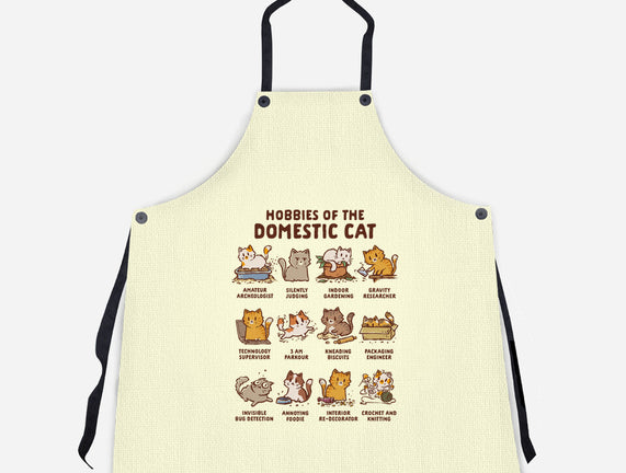 Cat Hobbies