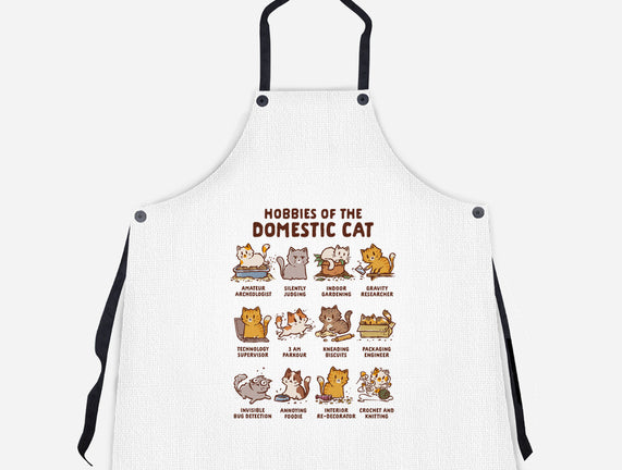 Cat Hobbies