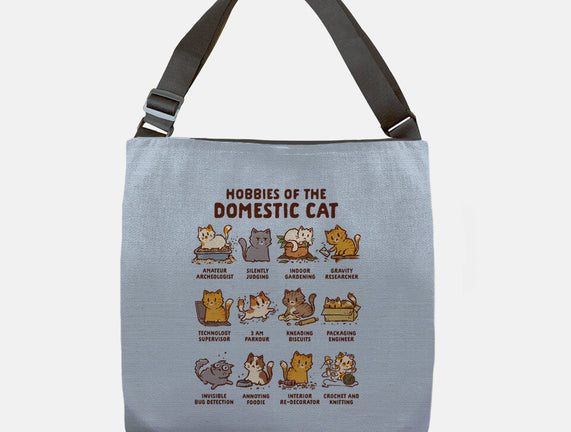 Cat Hobbies